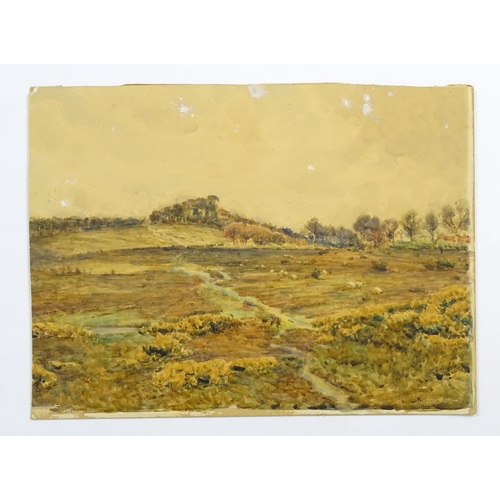 1868 - Arthur George Bell (1849-1916), Watercolour, A Moorland landscape with sheep. Signed lower right. Ap... 