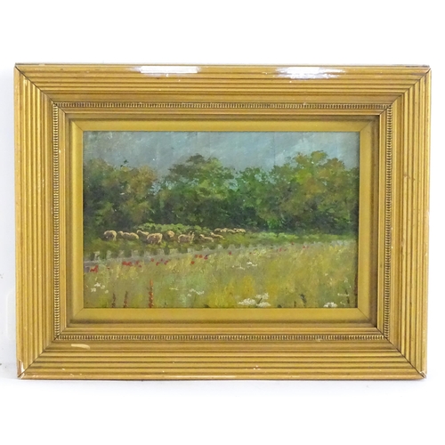 1711 - 20th century, Oil on canvas laid on board, A rural scene with wild flowers and sheep grazing. Approx... 