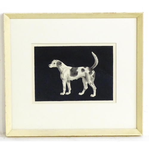 1830 - 19th century, Watercolour, A monochrome portrait of a Beagle hound / dog. Approx. 3 3/4