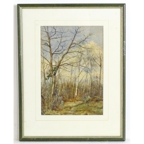 1838 - A. M. Webb, 19th century, Watercolour, A woodland landscape. Ascribed and dated 1887 verso. Approx. ... 