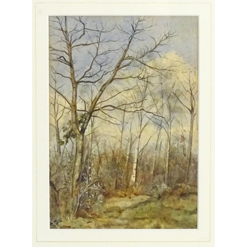 1838 - A. M. Webb, 19th century, Watercolour, A woodland landscape. Ascribed and dated 1887 verso. Approx. ... 