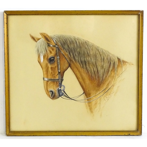 1844 - J. Des Clayes, 20th century, Watercolour, A study of a brown horse. Signed lower right. Approx. 12