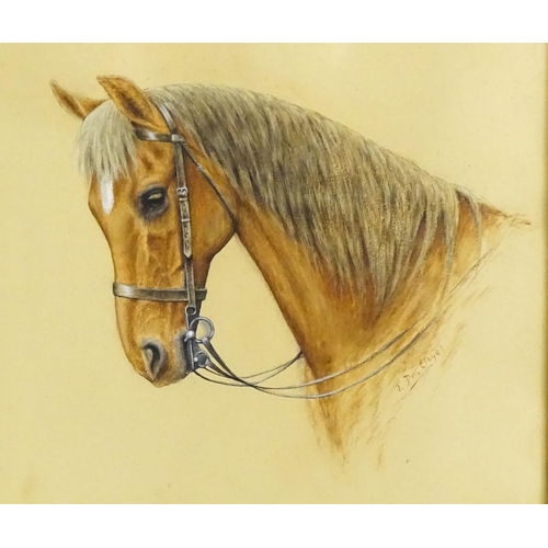 1844 - J. Des Clayes, 20th century, Watercolour, A study of a brown horse. Signed lower right. Approx. 12