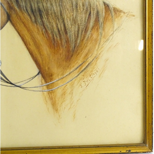 1844 - J. Des Clayes, 20th century, Watercolour, A study of a brown horse. Signed lower right. Approx. 12