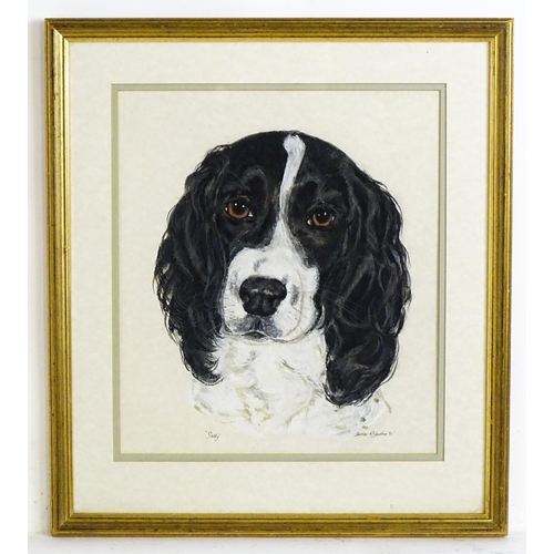 1900 - Teresa M. Goodburn, 20th century, Pastel, A portrait of a Springer Spaniel dog, titled Sally. Signed... 