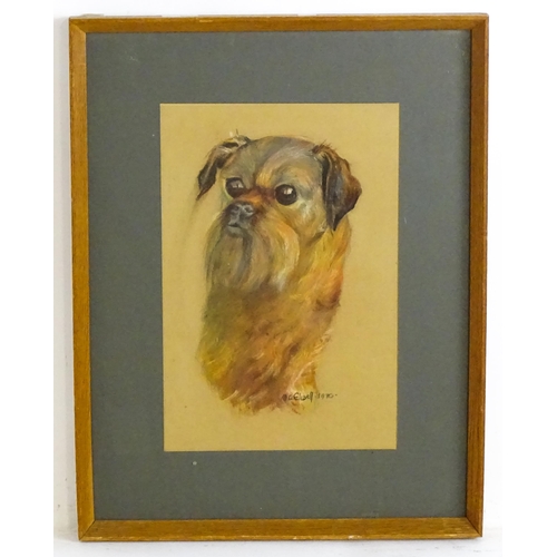 1901 - M. A. Elwell, 20th century, Pastel, A portrait of a Brussels Griffon dog. Signed and dated 1980 lowe... 