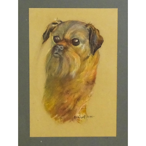 1901 - M. A. Elwell, 20th century, Pastel, A portrait of a Brussels Griffon dog. Signed and dated 1980 lowe... 