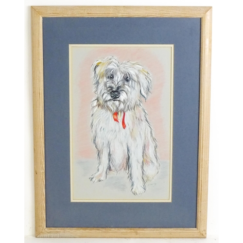 1908 - 20th century, Colour pencils, A portrait of a white Terrier dog. Signed with initials CAW and dated ... 