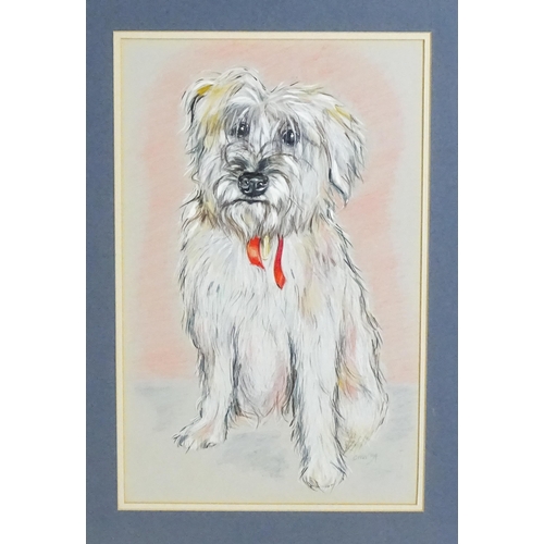 1908 - 20th century, Colour pencils, A portrait of a white Terrier dog. Signed with initials CAW and dated ... 