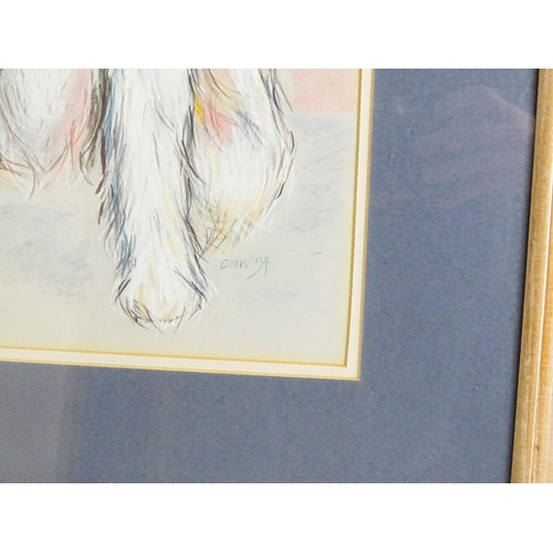 1908 - 20th century, Colour pencils, A portrait of a white Terrier dog. Signed with initials CAW and dated ... 