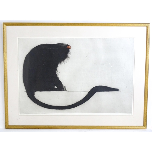 1924 - Helen Fay (b. 1968), Limited edition lithograph, De Brazza, depicting a seated monkey. Signed, title... 