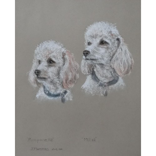 75 - A 20thC pastel drawing depicting two Poodle dog portraits, Pomponette and Mitzi, by J. Plummer. Sign... 