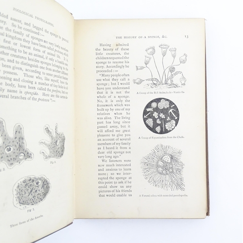 963 - Books: Two Natural History books comprising Nouveau manuel complet de l'observateur au microscope by... 