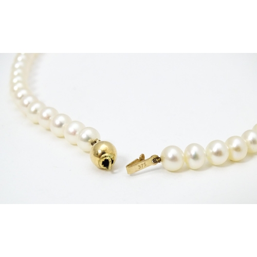 683 - A pearl necklace with 9ct gold clasp. Approx. 16