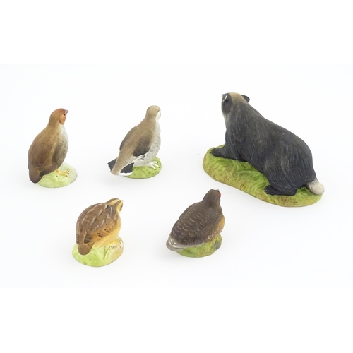 143 - Five Aynsley models of animals comprising Badger, Partridge, Quail, Grouse and Ptarmigan. Badger app... 