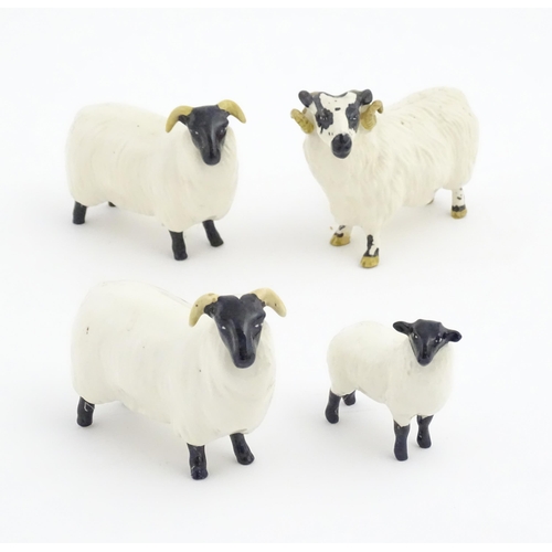 145 - Four Beswick sheep comprising a ram, two ewes and a lamb. Marked under. Together with an associated ... 