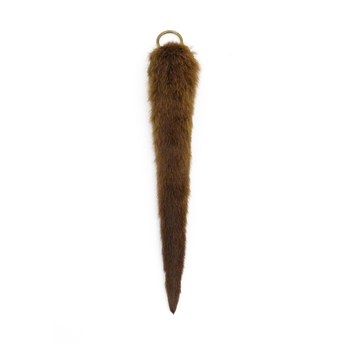 1214 - Taxidermy: an early 20thC mounted Otter's rudder, with brass hanging loop, approx 19