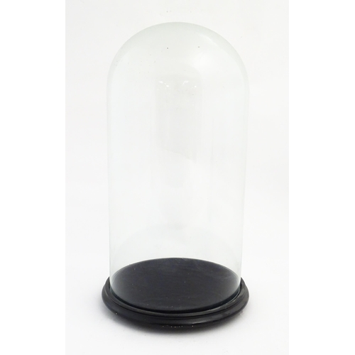 1223 - A Victorian glass dome with ebonised circular base raised on three feet. Approx. 22 1/4