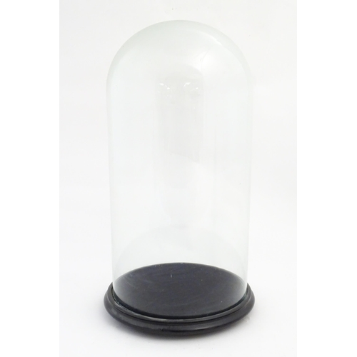 1223 - A Victorian glass dome with ebonised circular base raised on three feet. Approx. 22 1/4