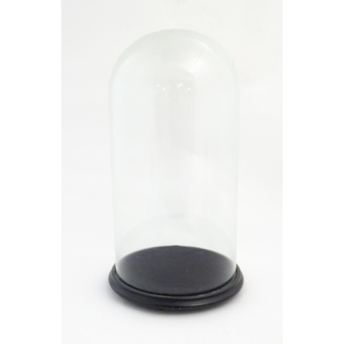 1223 - A Victorian glass dome with ebonised circular base raised on three feet. Approx. 22 1/4