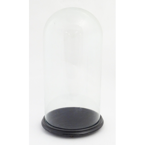 1223 - A Victorian glass dome with ebonised circular base raised on three feet. Approx. 22 1/4