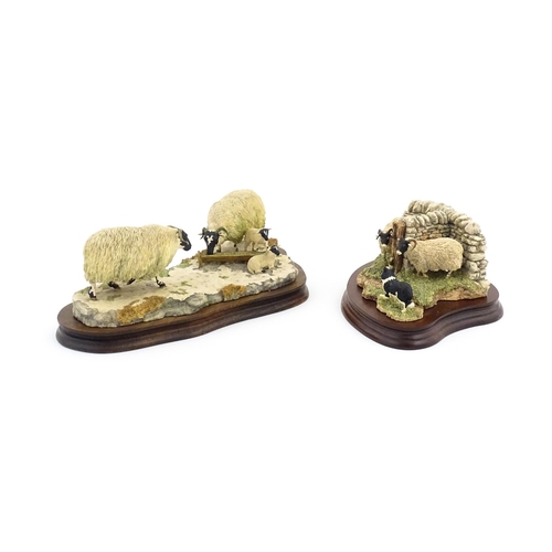 908 - Two Border Fine Arts models by Ray Ayres comprising Early Lambs, Late Snow, no. 113, and a limited e... 