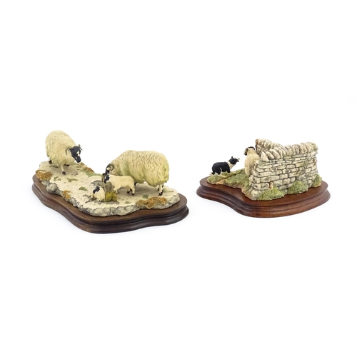 908 - Two Border Fine Arts models by Ray Ayres comprising Early Lambs, Late Snow, no. 113, and a limited e... 