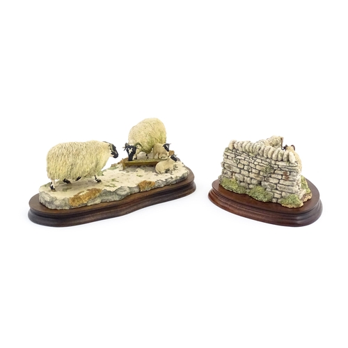 908 - Two Border Fine Arts models by Ray Ayres comprising Early Lambs, Late Snow, no. 113, and a limited e... 