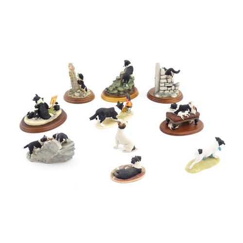 916 - A quantity of Border Fine Arts model dogs to include High Jinks model RR03, Walkies B0860, Tug o' Wa... 