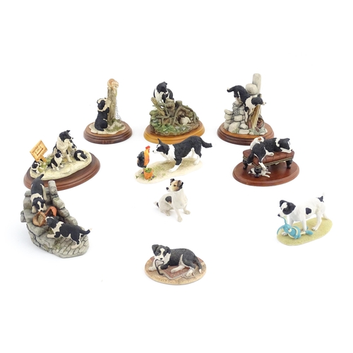 916 - A quantity of Border Fine Arts model dogs to include High Jinks model RR03, Walkies B0860, Tug o' Wa... 