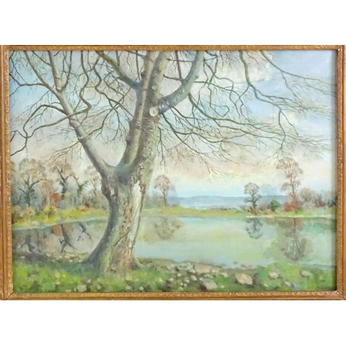 1574 - F. M. de la Coze, 20th century, Oil on canvas, An Old Acer Tree, Hampden Park. Signed lower left and... 