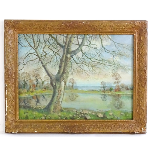 1574 - F. M. de la Coze, 20th century, Oil on canvas, An Old Acer Tree, Hampden Park. Signed lower left and... 