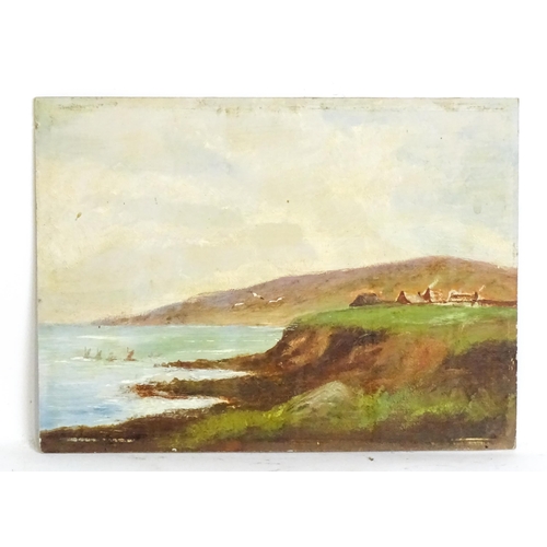 1594 - 20th century, Oil on board, A coastal scene with village and flying gulls. Approx. 9