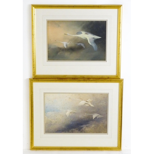 1652 - Manner of Charles Whymper (1853-1941), Pastels, Swans in flight with cygnets. Approx. 9 3/4