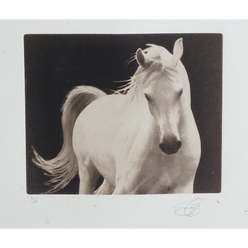 1706 - Susan George (b. 1954), Limited edition print, The White Horse. Signed and numbered 1/50 in pencil u... 