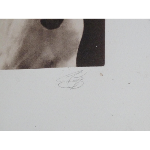 1706 - Susan George (b. 1954), Limited edition print, The White Horse. Signed and numbered 1/50 in pencil u... 