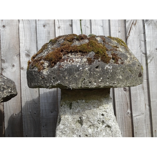 1324 - Two carved staddlestones / steddle stones , the largest approx 23 1/2