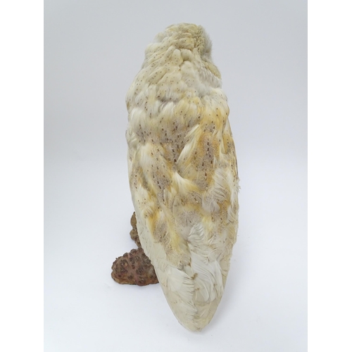 1209 - Taxidermy: an early 20thC mount of a Barn Owl, posed upon a wooden billet. Measuring approx 13 1/4