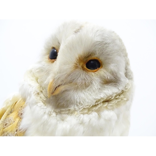 1209 - Taxidermy: an early 20thC mount of a Barn Owl, posed upon a wooden billet. Measuring approx 13 1/4