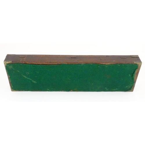 1216 - A 19thC mahogany gun motor case brass mounts, the green baize-lined interior fitted for a side by si... 