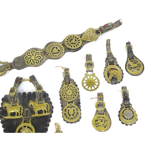 1055 - A quantity of Victorian and later horse brasses mounted to leather backing, variously decorated with... 