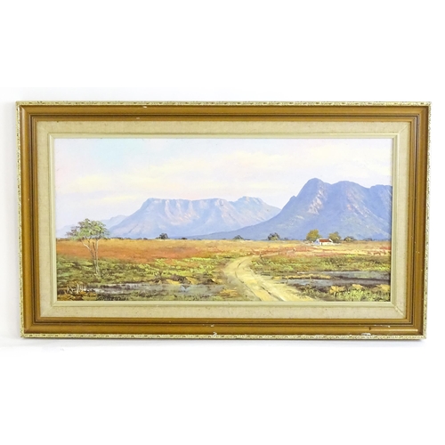 1481 - Don Benzien, 20th century, Oil on canvas, A South African landscape scene depicting Central Karoo. S... 