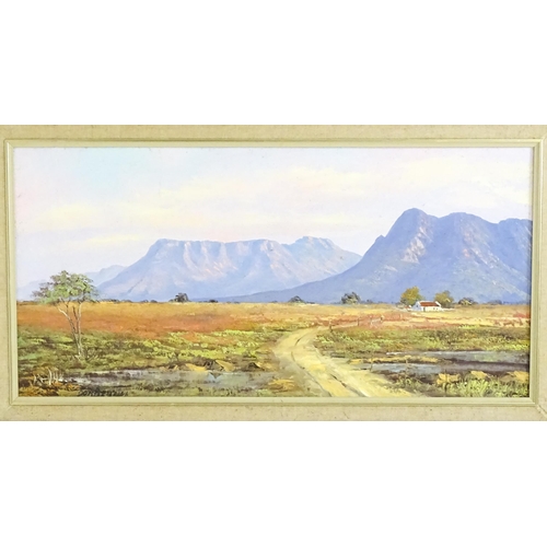 1481 - Don Benzien, 20th century, Oil on canvas, A South African landscape scene depicting Central Karoo. S... 