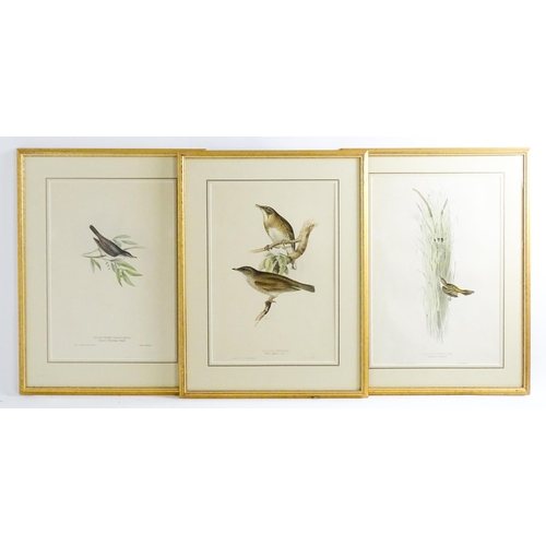 1698 - After J & E Gould, Eight ornithological coloured lithographs, various birds comprising Brake Locuste... 