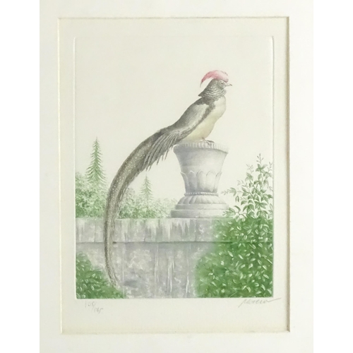 1703 - After Moreau, 20th century, Limited edition lithographs, Exotic pheasants resting on ornamental scul... 