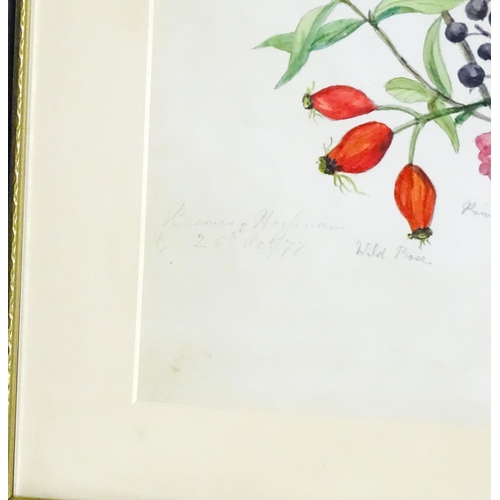 1598 - Alice Henriette Hope (Lady Hope, wife of Sir William Hope of Pinkie) (1823-1900), Botanical watercol... 