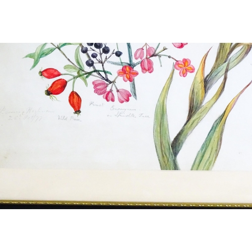 1598 - Alice Henriette Hope (Lady Hope, wife of Sir William Hope of Pinkie) (1823-1900), Botanical watercol... 