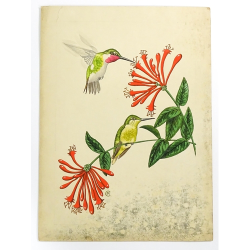 1788 - 20th century, Watercolour, ink and gouache, Ruby-Throated Hummingbirds, Depicting male and female bi... 