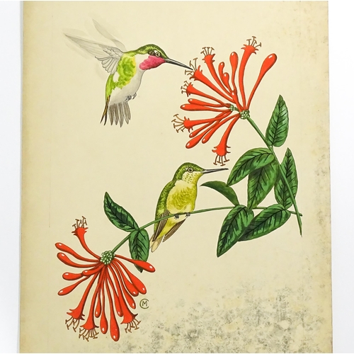 1788 - 20th century, Watercolour, ink and gouache, Ruby-Throated Hummingbirds, Depicting male and female bi... 