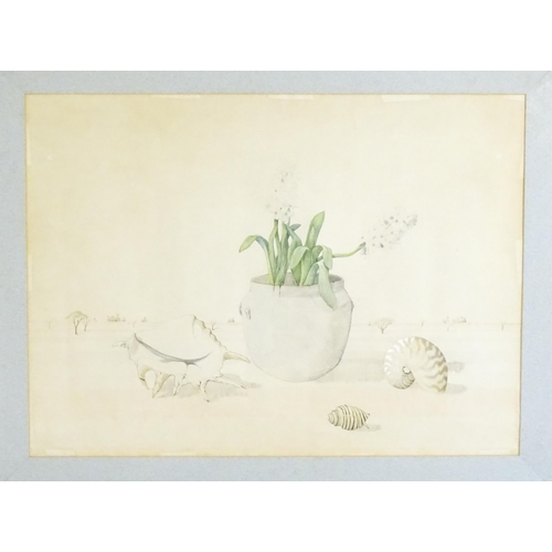 1841 - Patrick Hockey (1948-1992), Watercolours, A pair of large Australian watercolours with shells and fl... 